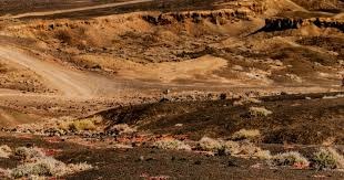 欧冠附加赛预定死亡对决！曼城进16强太难了：皇马拜仁2选1